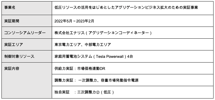 実証内容